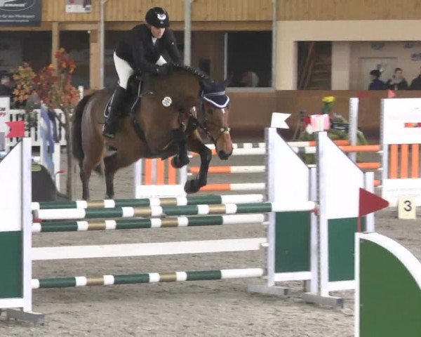 Reitturnier Dettingen 2017 Spring Late Entry