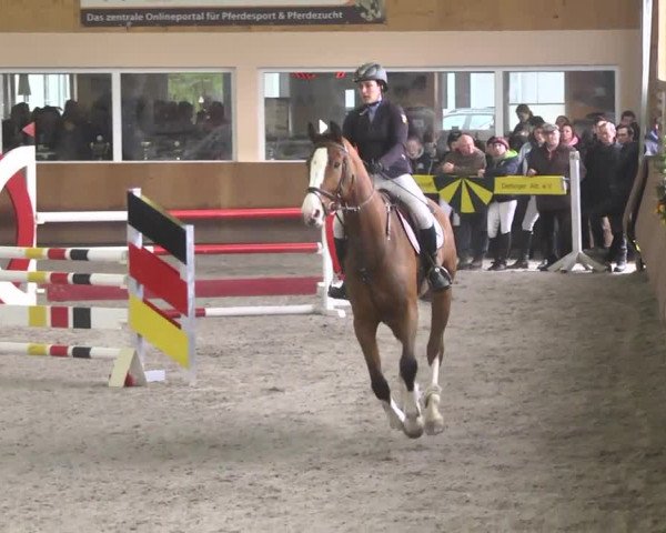 Reitturnier Dettingen 2017 Spring Late Entry