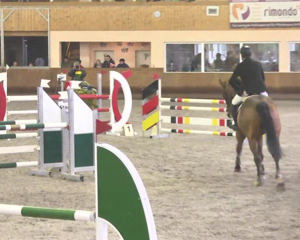 Reitturnier Dettingen 2017 Spring Late Entry