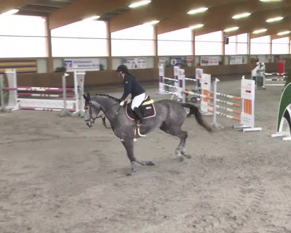 Reitturnier Dettingen 2017 Spring Late Entry