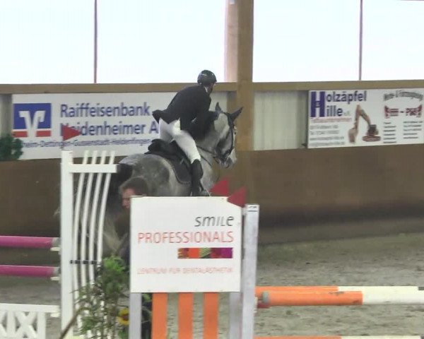 Reitturnier Dettingen 2017 Spring Late Entry