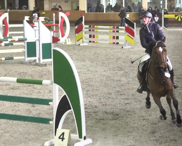 Reitturnier Dettingen 2017 Spring Late Entry