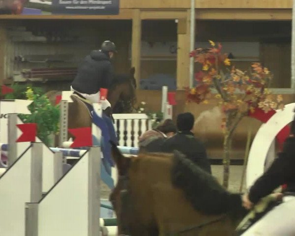 Reitturnier Dettingen 2017 Spring Late Entry