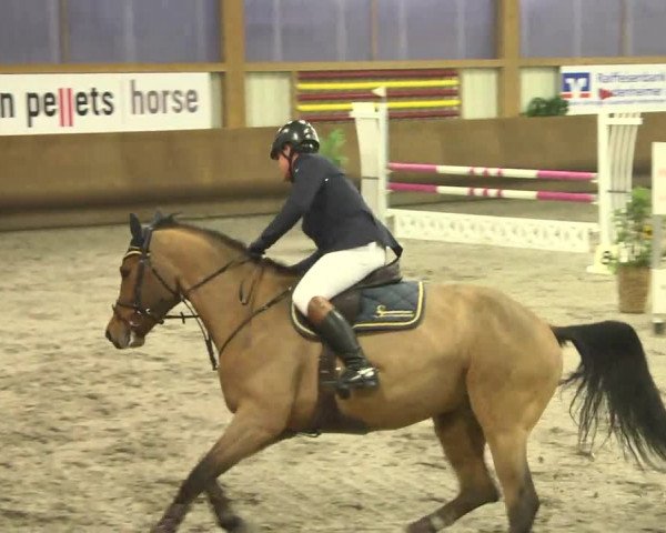 Reitturnier Dettingen 2017 Spring Late Entry