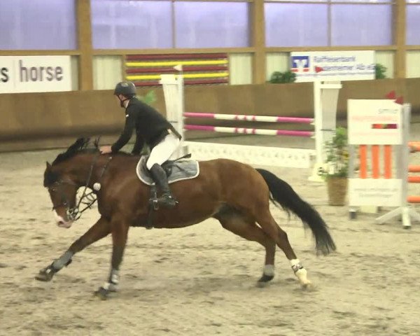 Reitturnier Dettingen 2017 Spring Late Entry