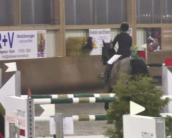 Reitturnier Dettingen 2017 Spring Late Entry