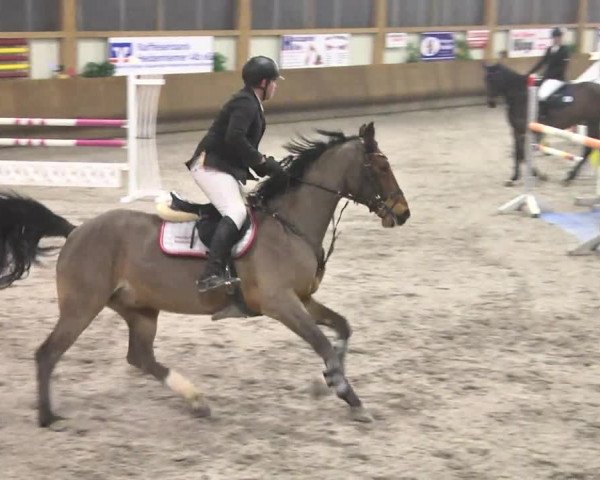 Reitturnier Dettingen 2017 Spring Late Entry