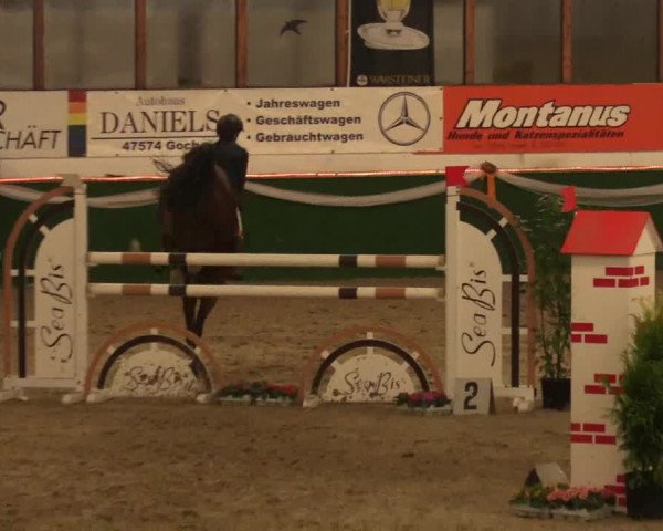 Keppelner Springfestival 2017 - Reitanlage "Hötzenhof"