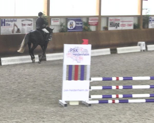 Reitturnier Dettingen 2017 Dressur Late Entry