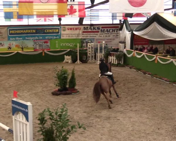 Keppelner Springfestival 2017 - Reitanlage "Hötzenhof"