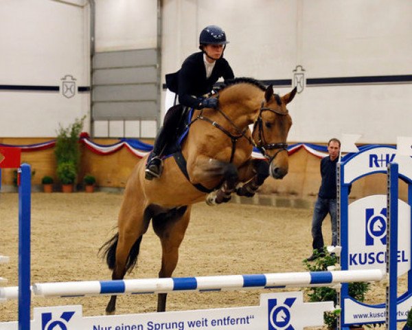 stallion Jaloubet K VDL (KWPN (Royal Dutch Sporthorse), 2014, from Baloubet du Rouet)