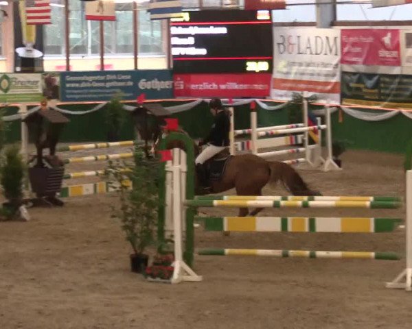 Keppelner Springfestival 2017 - Reitanlage "Hötzenhof"