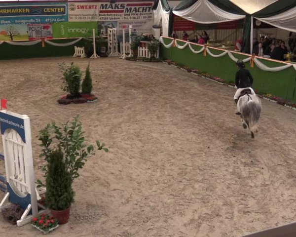 Keppelner Springfestival 2017 - Reitanlage "Hötzenhof"