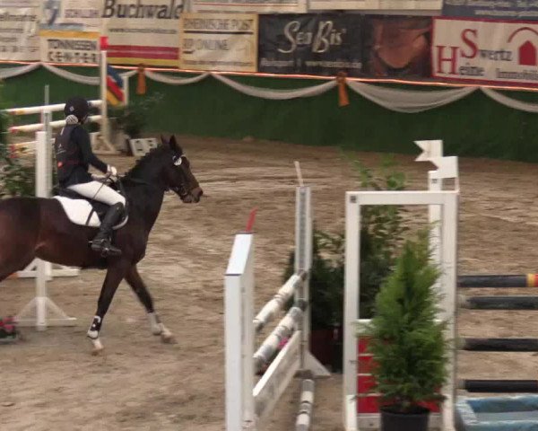Keppelner Springfestival 2017 - Reitanlage "Hötzenhof"
