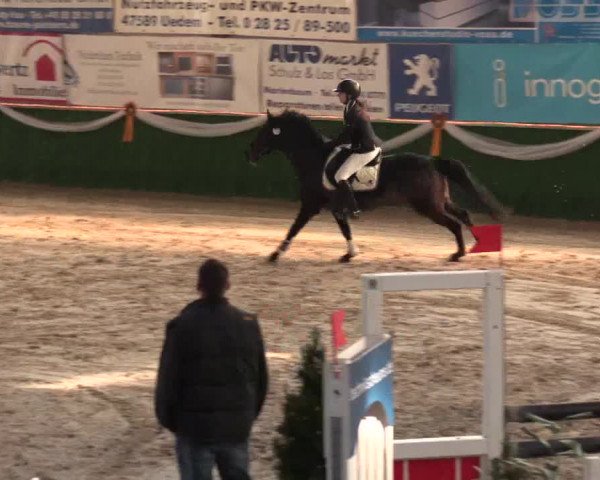 Keppelner Springfestival 2017 - Reitanlage "Hötzenhof"