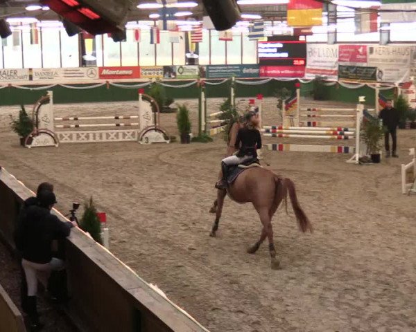 Keppelner Springfestival 2017 - Reitanlage "Hötzenhof"