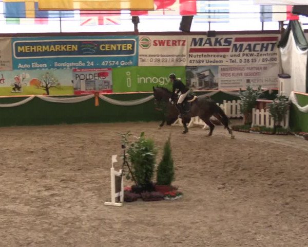 Keppelner Springfestival 2017 - Reitanlage "Hötzenhof"