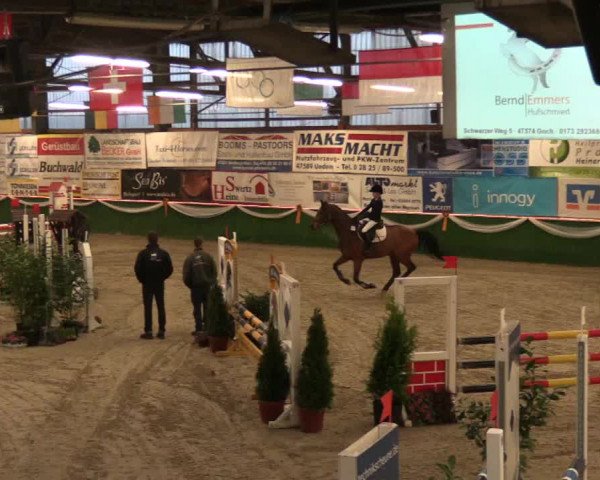 Keppelner Springfestival 2017 - Reitanlage "Hötzenhof"