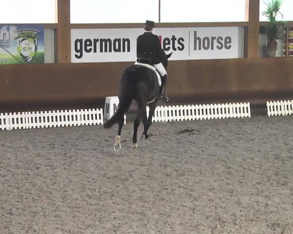 Reitturnier Dettingen 2017 Dressur Late Entry