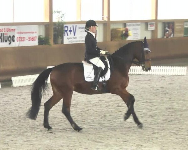Reitturnier Dettingen 2017 Dressur Late Entry