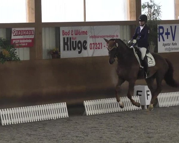 Reitturnier Dettingen 2017 Dressur Late Entry