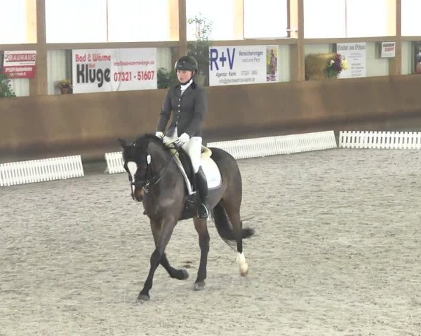 Reitturnier Dettingen 2017 Dressur Late Entry