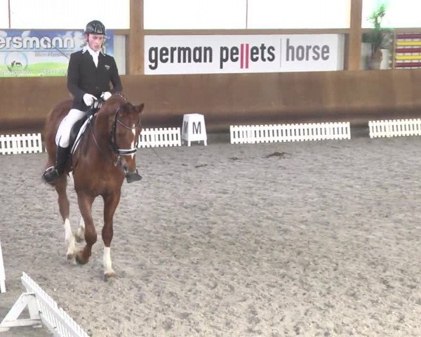 Reitturnier Dettingen 2017 Dressur Late Entry