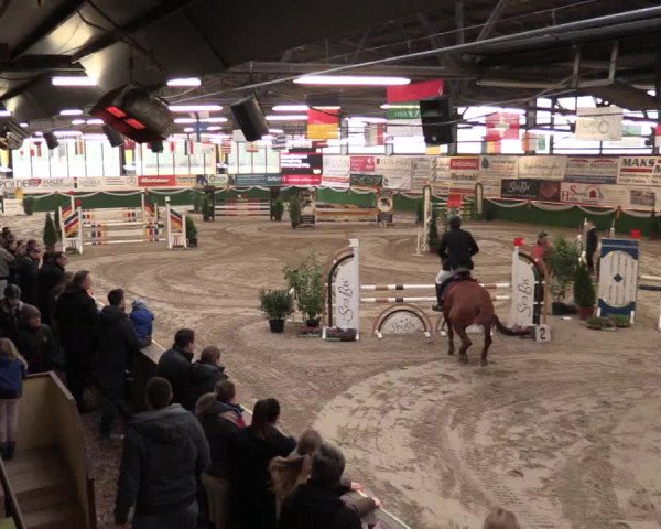 Keppelner Springfestival 2017 - Reitanlage "Hötzenhof"
