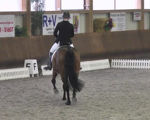 Reitturnier Dettingen 2017 Dressur Late Entry
