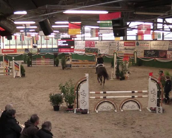 Keppelner Springfestival 2017 - Reitanlage "Hötzenhof"