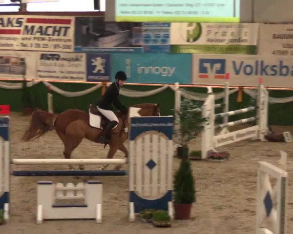 Keppelner Springfestival 2017 - Reitanlage "Hötzenhof"