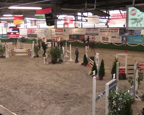 Keppelner Springfestival 2017 - Reitanlage "Hötzenhof"