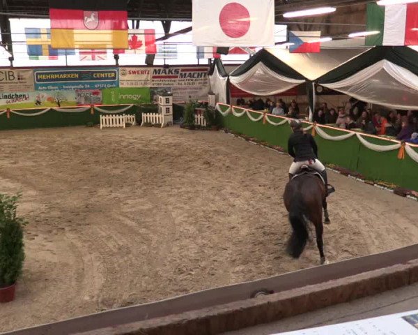 Keppelner Springfestival 2017 - Reitanlage "Hötzenhof"