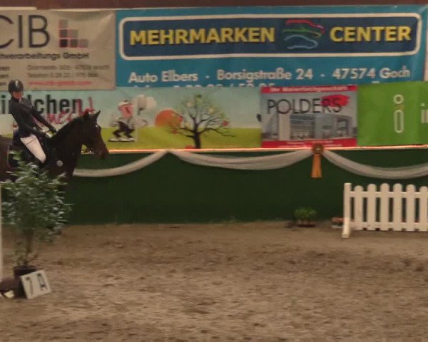 Keppelner Springfestival 2017 - Reitanlage "Hötzenhof"