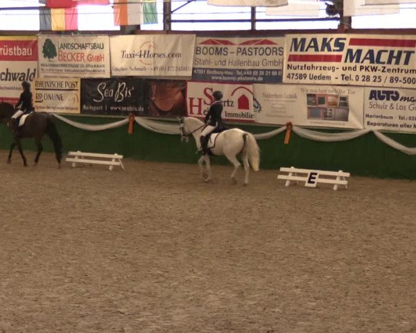 Keppelner Springfestival 2017 - Reitanlage "Hötzenhof"