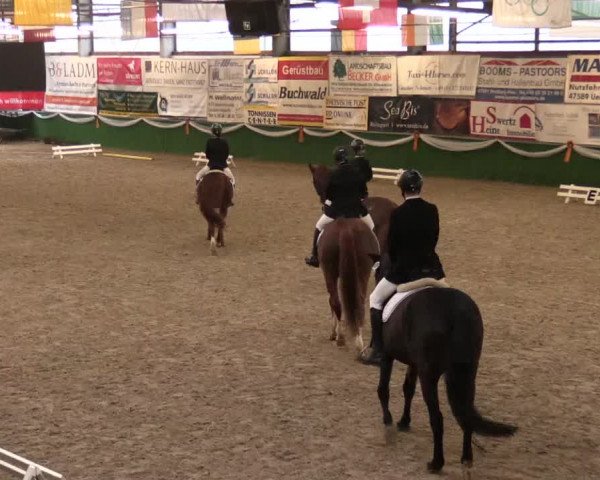 Keppelner Springfestival 2017 - Reitanlage "Hötzenhof"