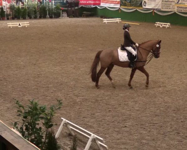 Keppelner Springfestival 2017 - Reitanlage "Hötzenhof"