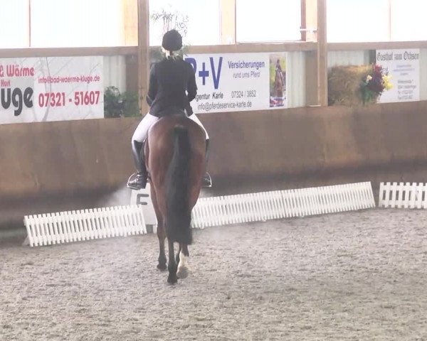 Reitturnier Dettingen 2017 Dressur Late Entry