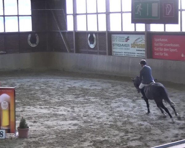 Reitturnier Köln-Leverkusen 2017