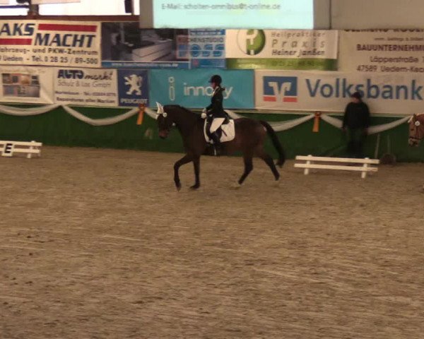 Keppelner Springfestival 2017 - Reitanlage "Hötzenhof"