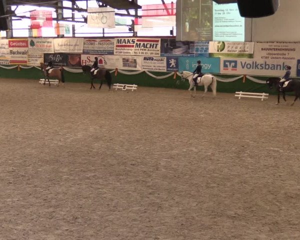 Keppelner Springfestival 2017 - Reitanlage "Hötzenhof"