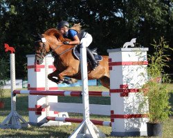 jumper Moritz 2314 (unknown, 2003)