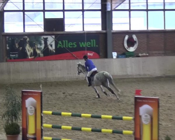 Reitturnier Köln-Leverkusen 2017