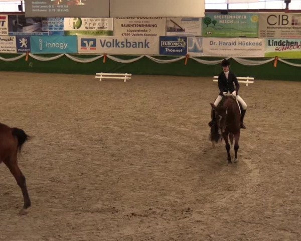 Keppelner Springfestival 2017 - Reitanlage "Hötzenhof"