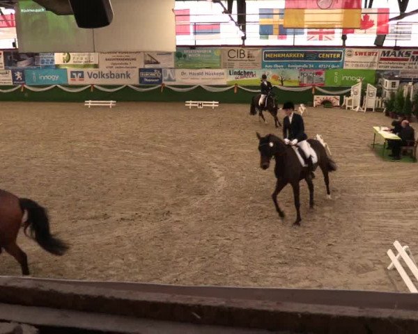 Keppelner Springfestival 2017 - Reitanlage "Hötzenhof"
