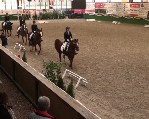 Keppelner Springfestival 2017 - Reitanlage "Hötzenhof"
