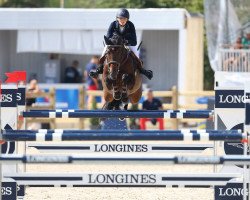 jumper Cheyenne 111 Z (Zangersheide riding horse, 2003, from Chatman)