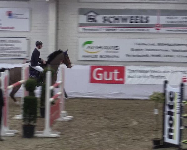 Frühjahrsturnier Borken 2017