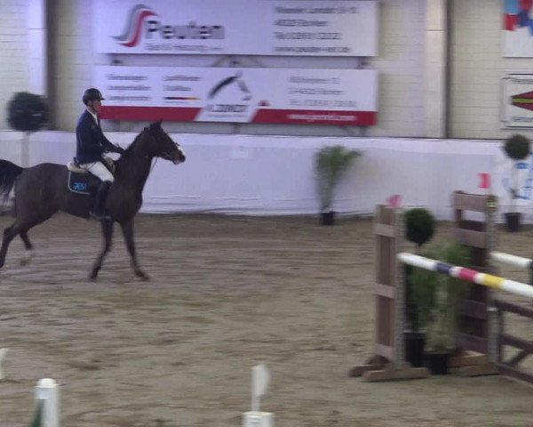 Frühjahrsturnier Borken 2017