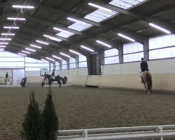 Dressur Late-Entry Datteln 2017